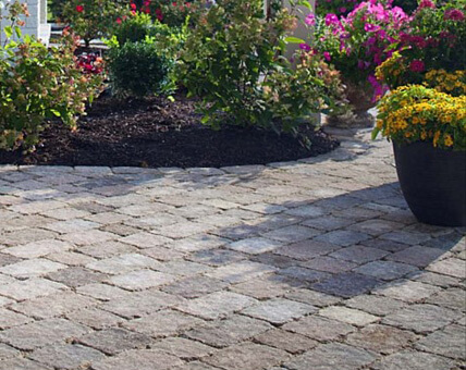 Landscaping Near Me Services, your premier choice Landscaping near me landscaping design services landscaping companies near me South Florida Lawn Care near me