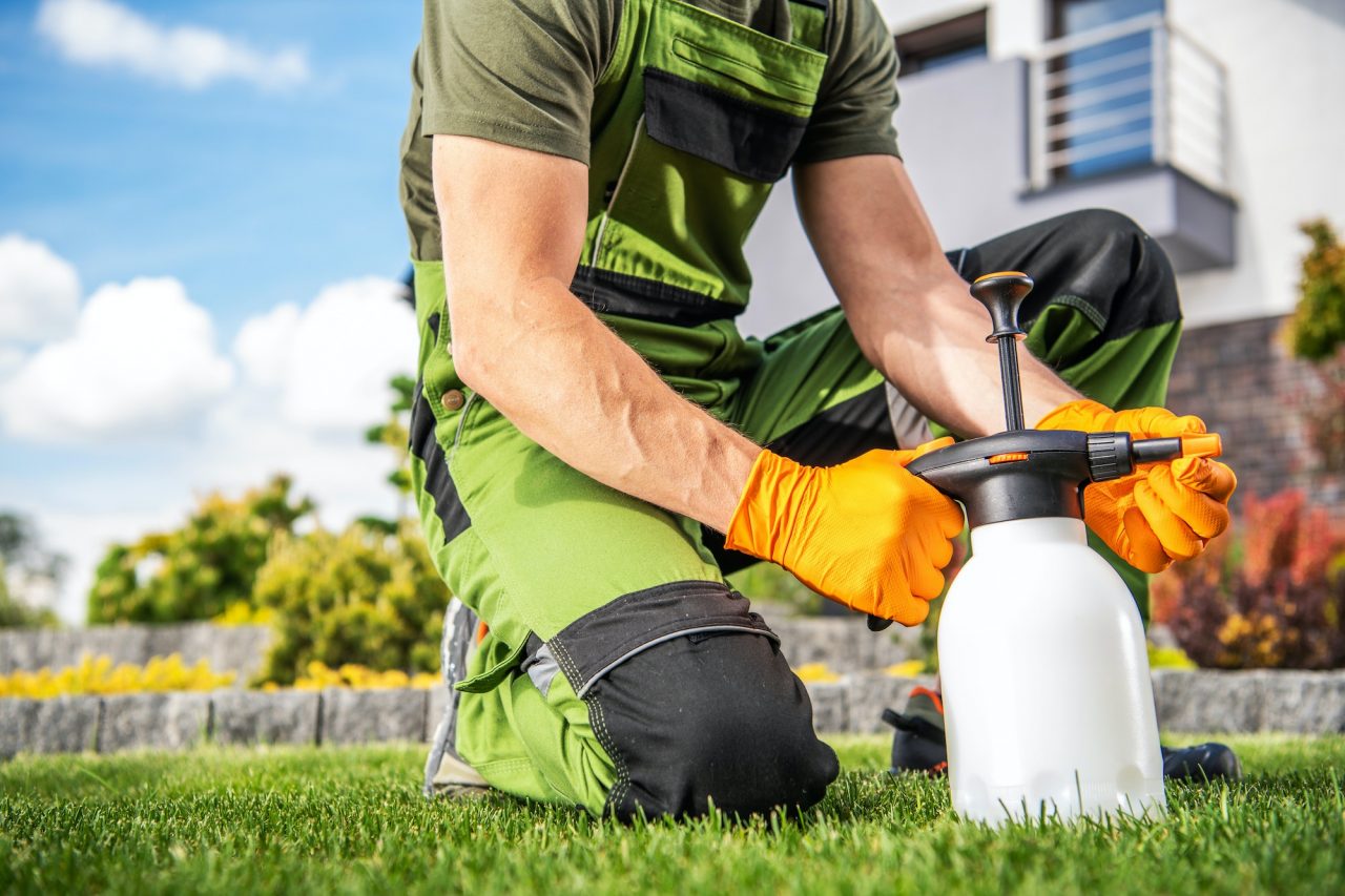 he Best Landscaping Near Me Services, your premier choice Landscaping near me for transforming outdoor spaces into lush paradises in South Florida Lawn Care