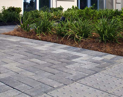 Landscaping Near Me Services, your premier choice Landscaping near me landscaping design services landscaping companies near me South Florida Lawn Care near me