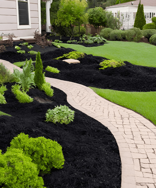 Landscaping Near Me Services, your premier choice Landscaping near me landscaping design services landscaping companies near me South Florida Lawn Care near me