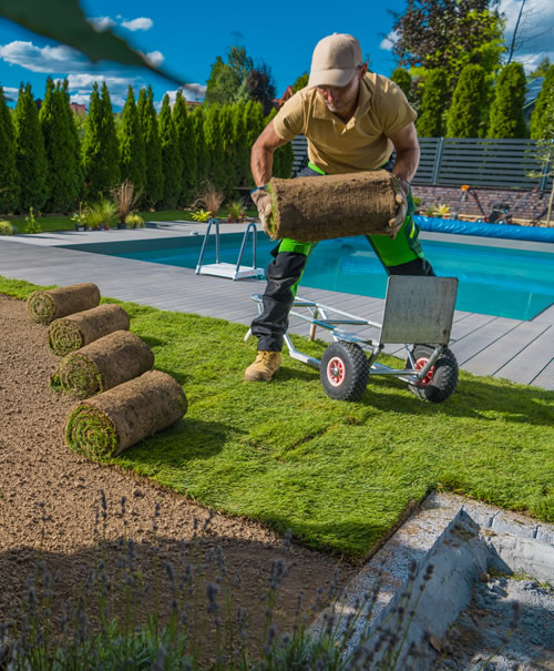 Landscaping Near Me Services, your premier choice Landscaping near me landscaping design services landscaping companies near me South Florida Lawn Care near me