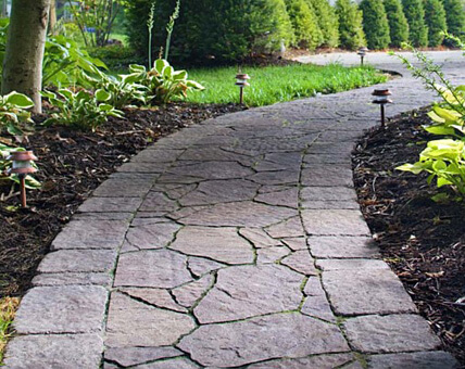 Landscaping Near Me Services, your premier choice Landscaping near me landscaping design services landscaping companies near me South Florida Lawn Care near me